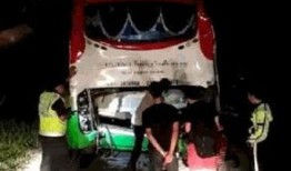 大马车祸爆料视频,大马车祸现场视频曝光，事故原因引热议